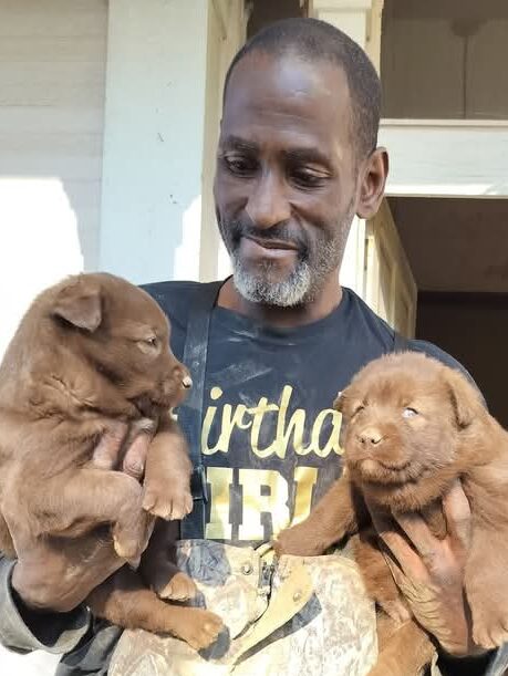 saving mom and puppies